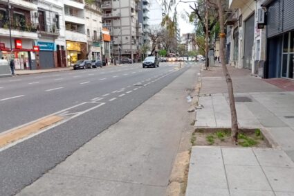 BICISENDAS EN CABA: TRES LUSTROS Y UN BALANCE