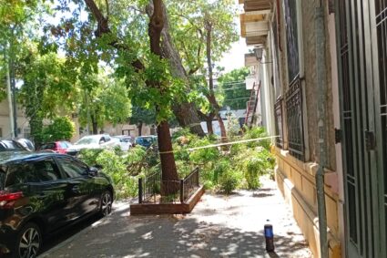 PORTEÑOS PSICOANALIZADOS